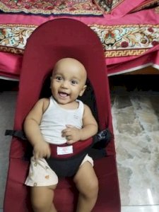 Baby Bouncer Chair Red Maroon