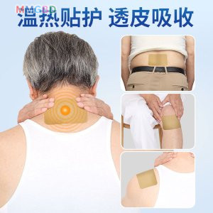 ( 1 packet 6 pcs) Japanese Back Pain Relief Patches