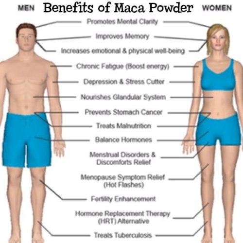 Naturya Organic Maca Rood 2 Powder 300g